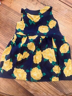 Janie and Jack Navy Dress with Yellow Floral Accents